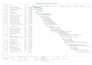create a professional ms project programme schedule for your project